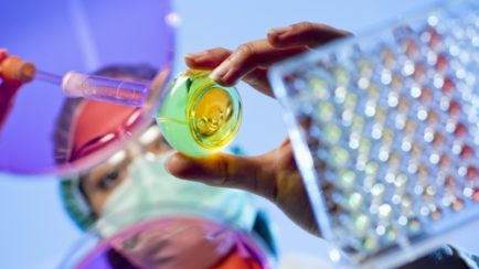 VCU scientists named top in the nation