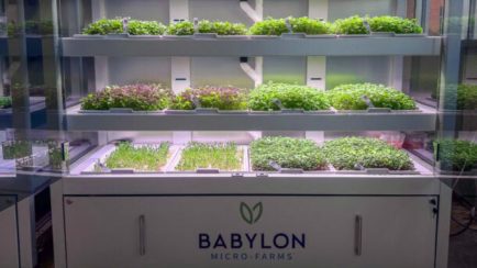Babylon Micro-Farms indoor hydroponic system growing fresh microgreens under LED lights.