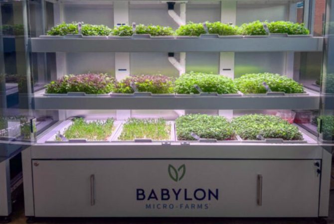 Babylon Micro-Farms indoor hydroponic system growing fresh microgreens under LED lights.