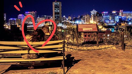 Virginia is or lovers