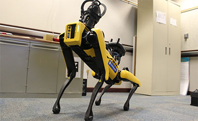 Dominion Dog Drone