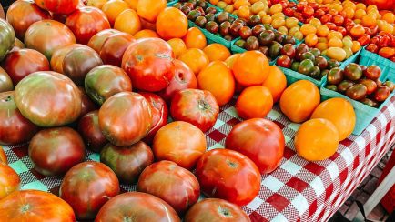 Hanover Tomatoes in Virginia tourism